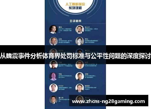 从魏震事件分析体育界处罚标准与公平性问题的深度探讨