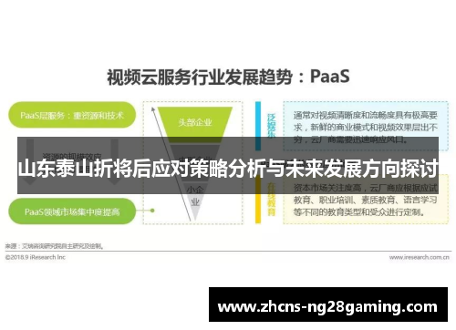 山东泰山折将后应对策略分析与未来发展方向探讨