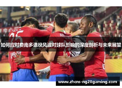 如何应对费南多退役风波对球队影响的深度剖析与未来展望
