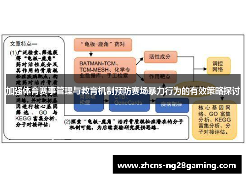 加强体育赛事管理与教育机制预防赛场暴力行为的有效策略探讨