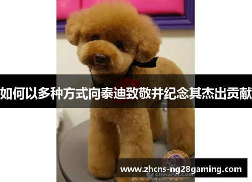 如何以多种方式向泰迪致敬并纪念其杰出贡献