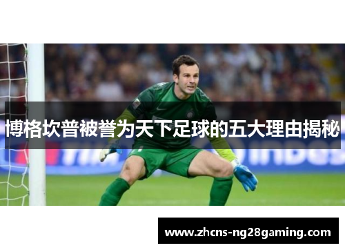 博格坎普被誉为天下足球的五大理由揭秘